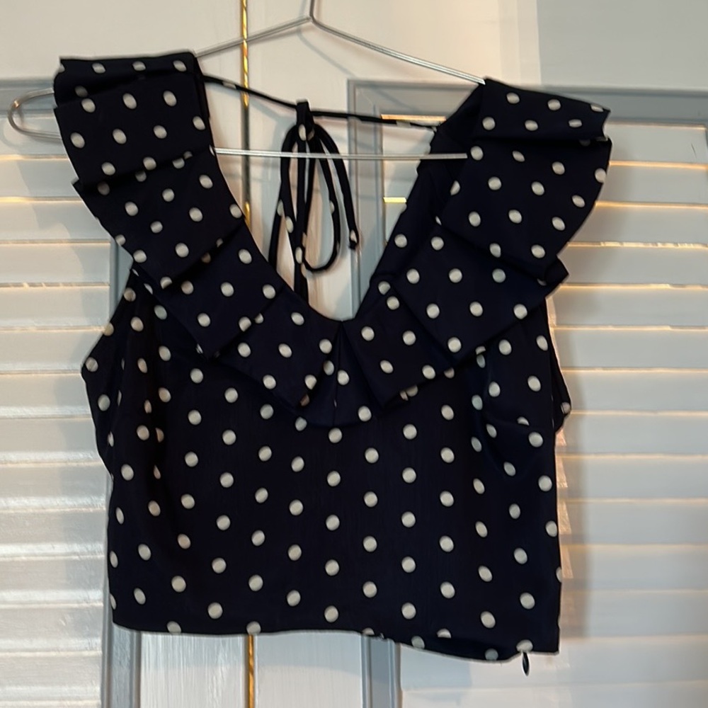 Lucy Paris Polka Dot Crop Top